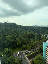 Hillview Regency (D23), Condominium #571120791